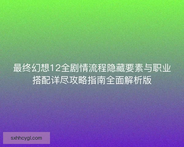 最终幻想12全剧情流程隐藏要素与职业搭配详尽攻略指南全面解析版