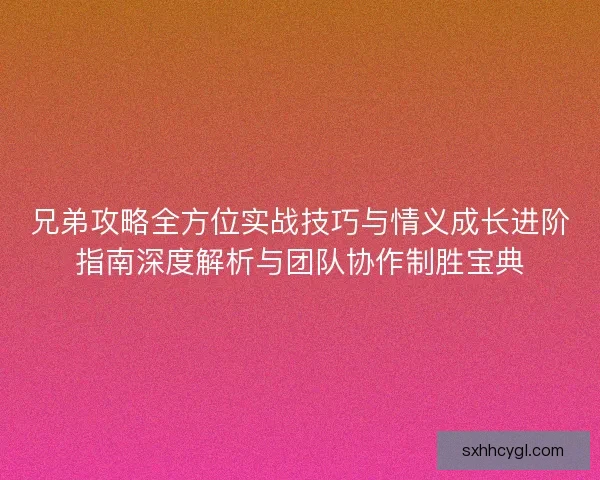 兄弟攻略全方位实战技巧与情义成长进阶指南深度解析与团队协作制胜宝典