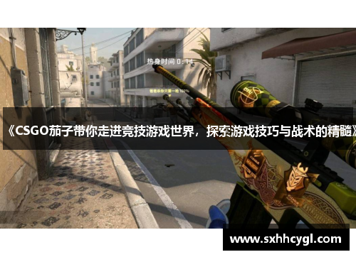 《CSGO茄子带你走进竞技游戏世界，探索游戏技巧与战术的精髓》
